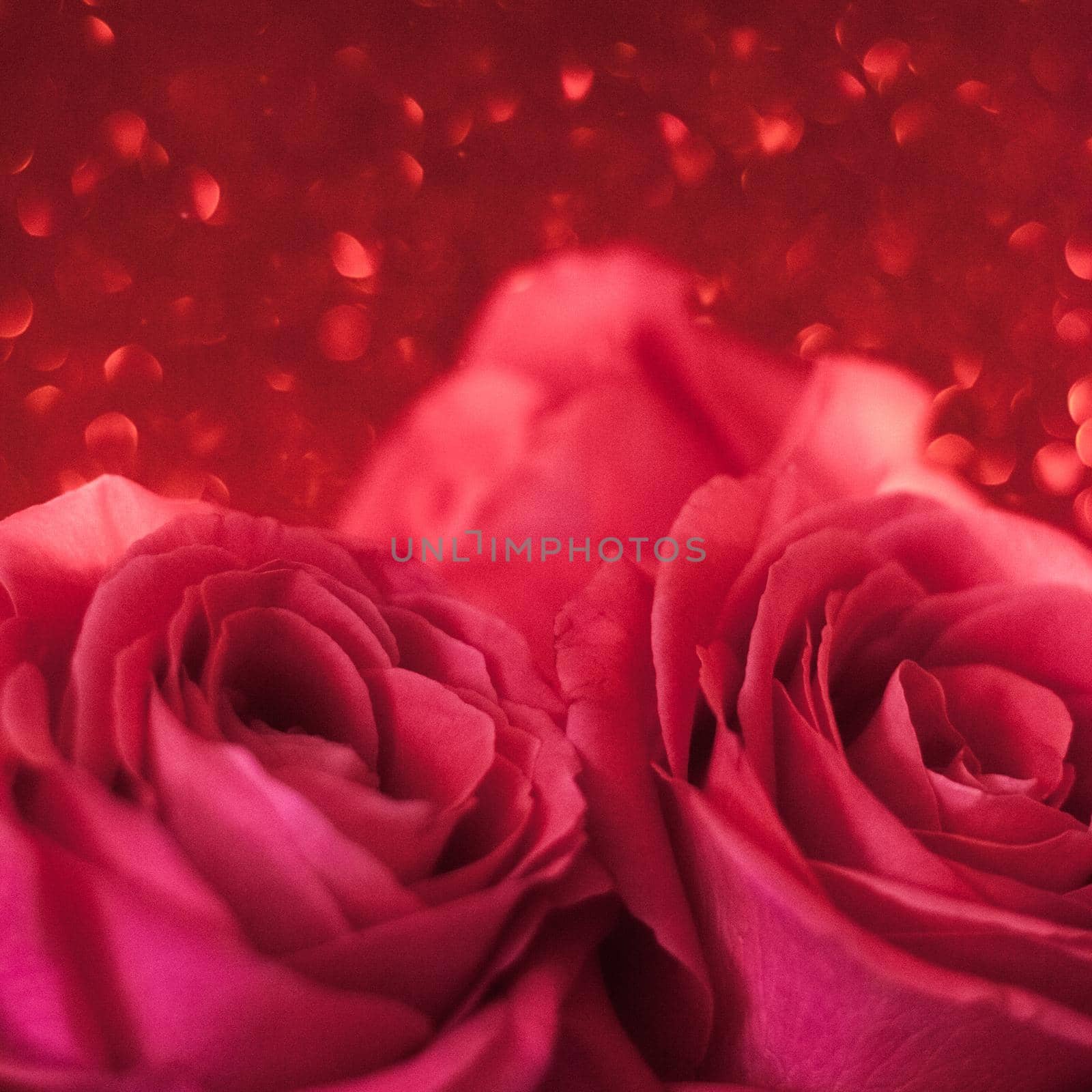 red roses - wedding, holiday and valentine's day styled concept, elegant visuals