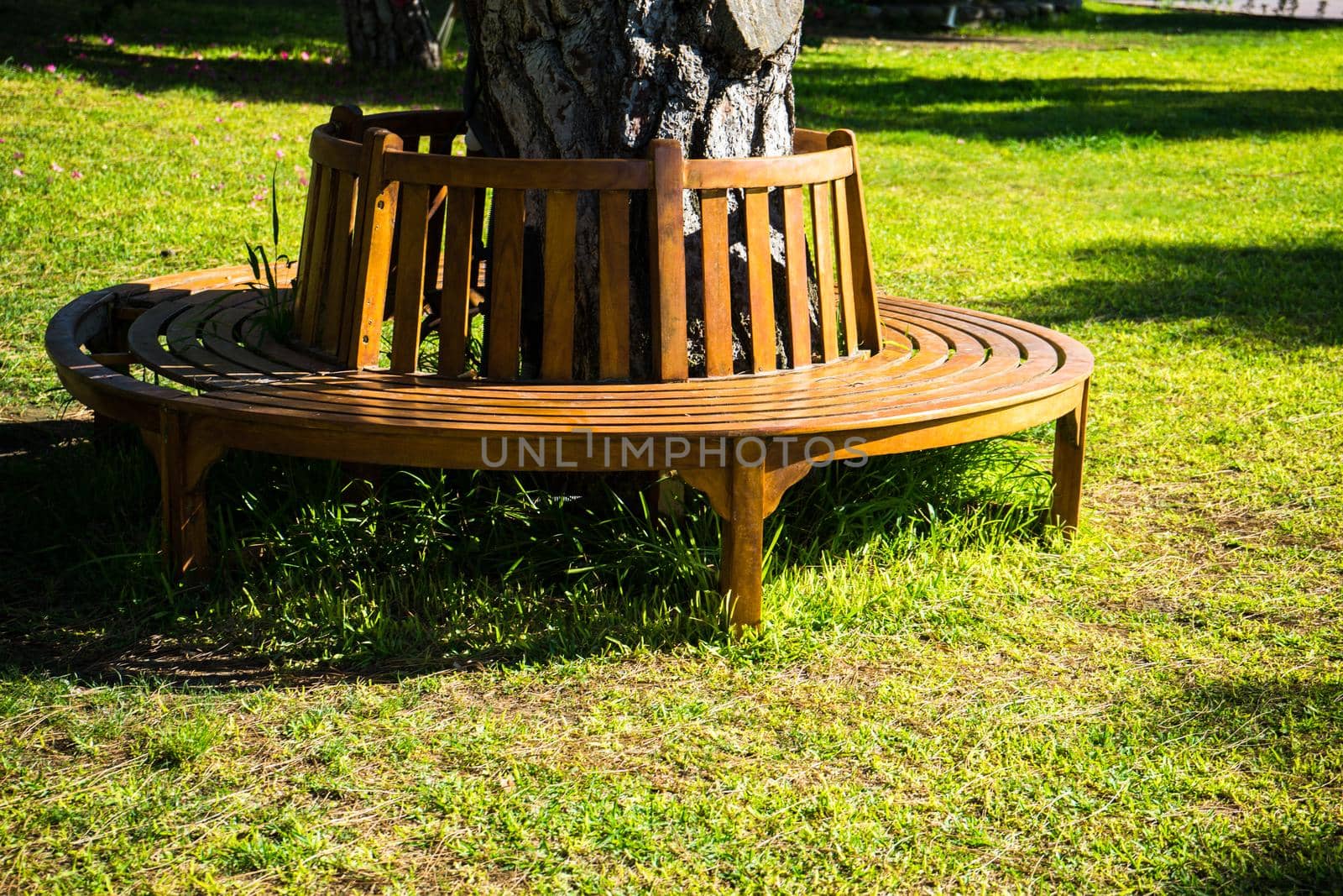 Old styled wooden park bench in a city park