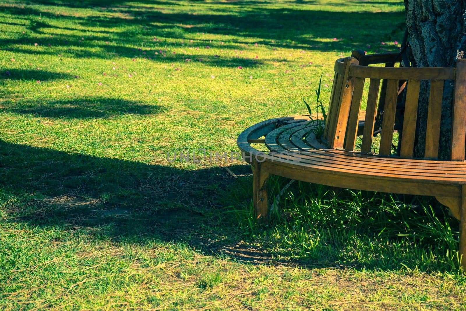 Old styled wooden park bench in a city park