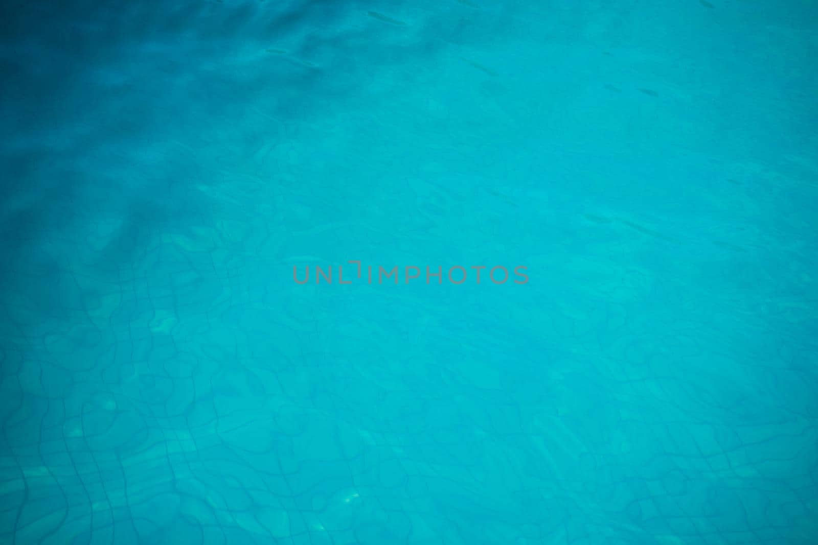 Blue swimming pool rippled water detail as a relax concept