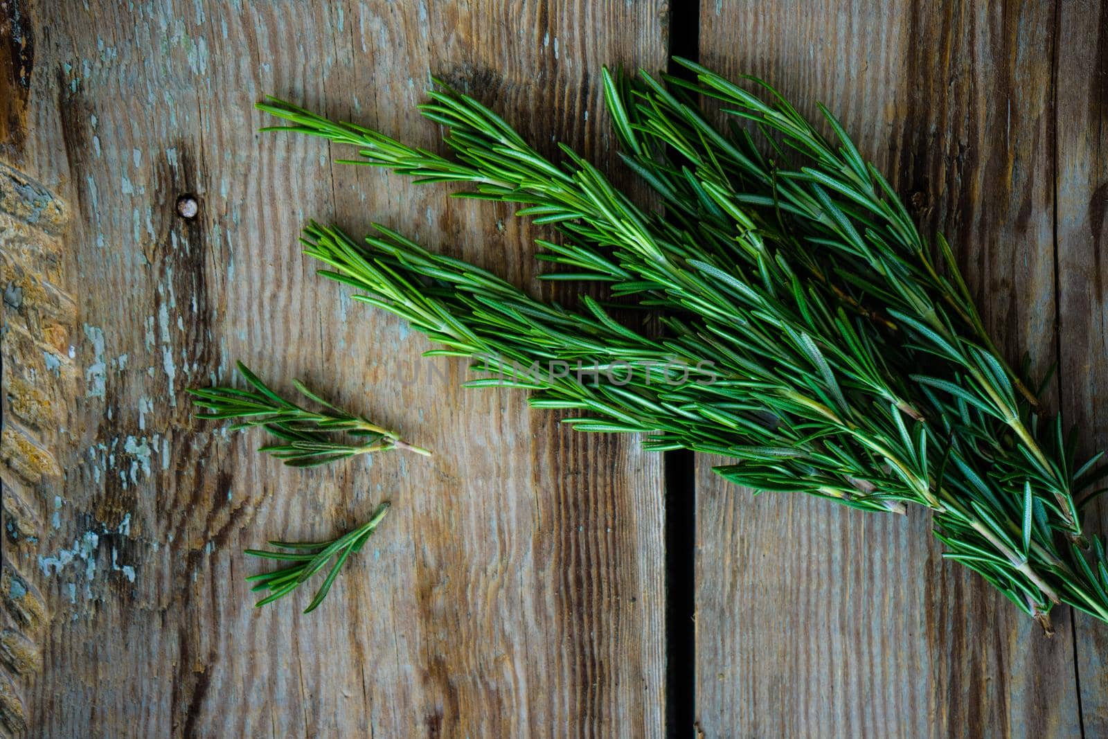 Fresh rosemary spice on dark wooden board with copyspace
