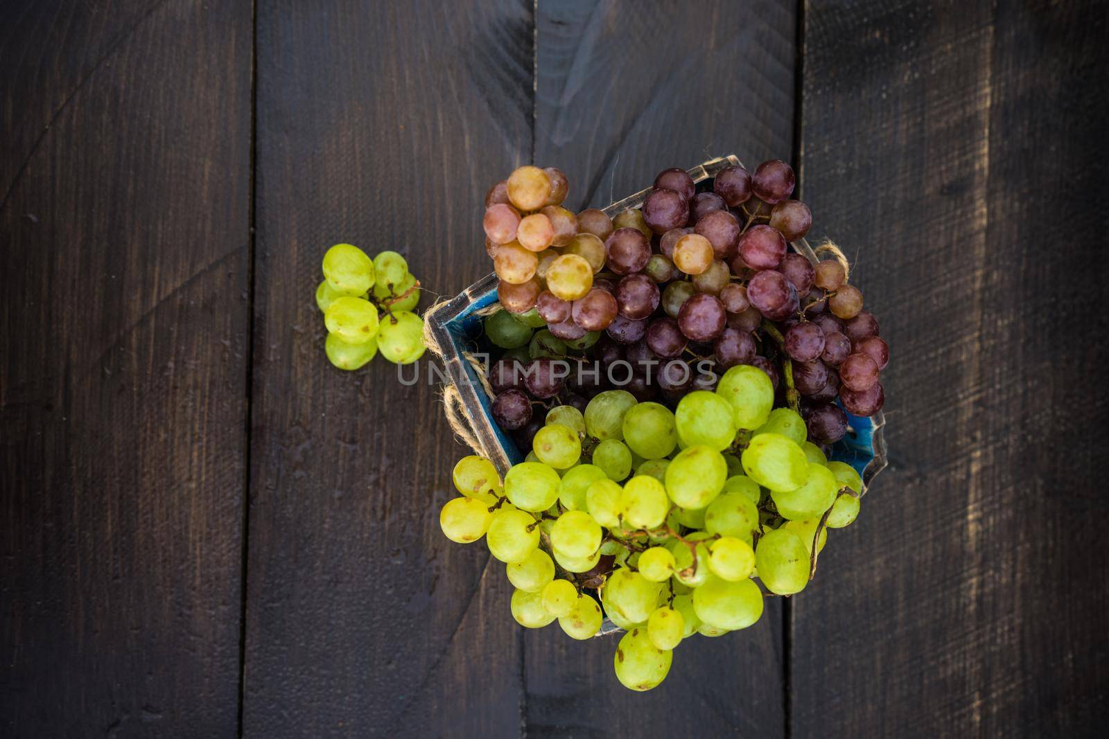 Fresh organic autumnal grapes on rustic plates on old wooden table with copyspace