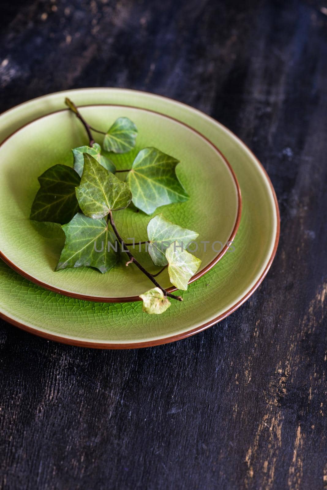 Rustic table setting with wild grape leaves on the plate on dark wooden table