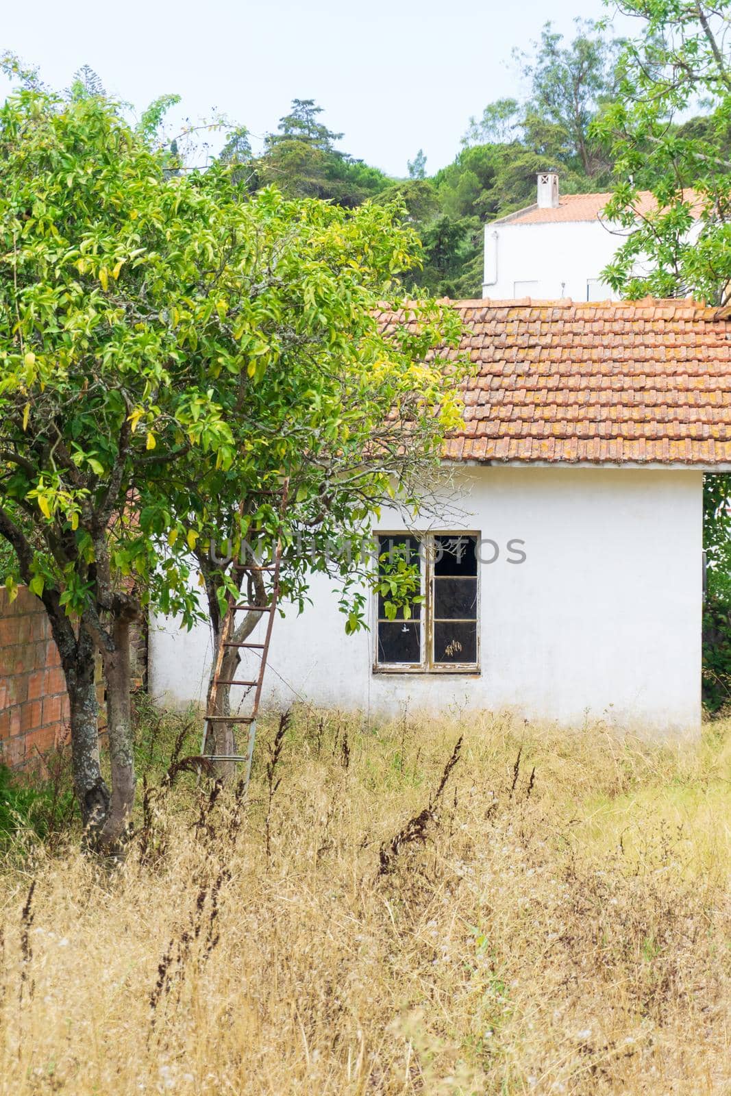Abandoned house with white walls and a tiled roof