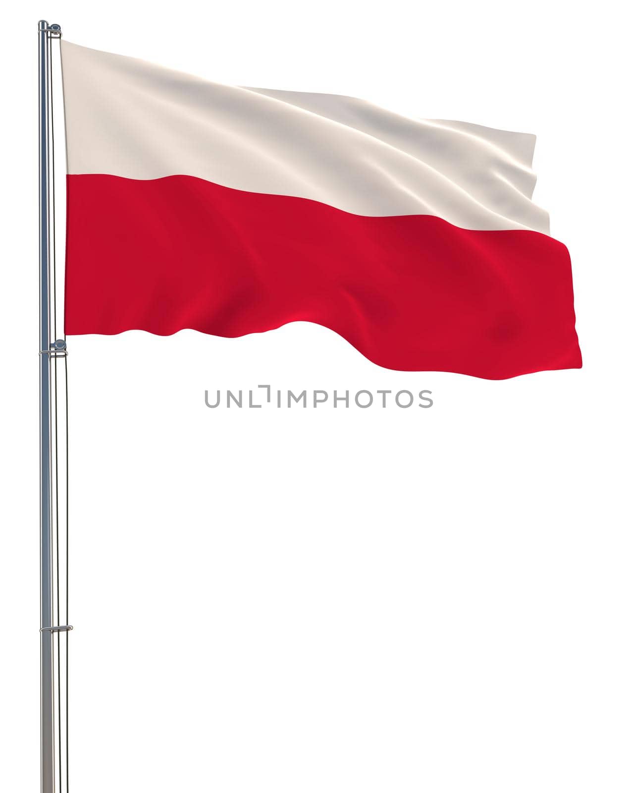 Poland flag waving in the wind, white background, realistic 3D rendering by gladder