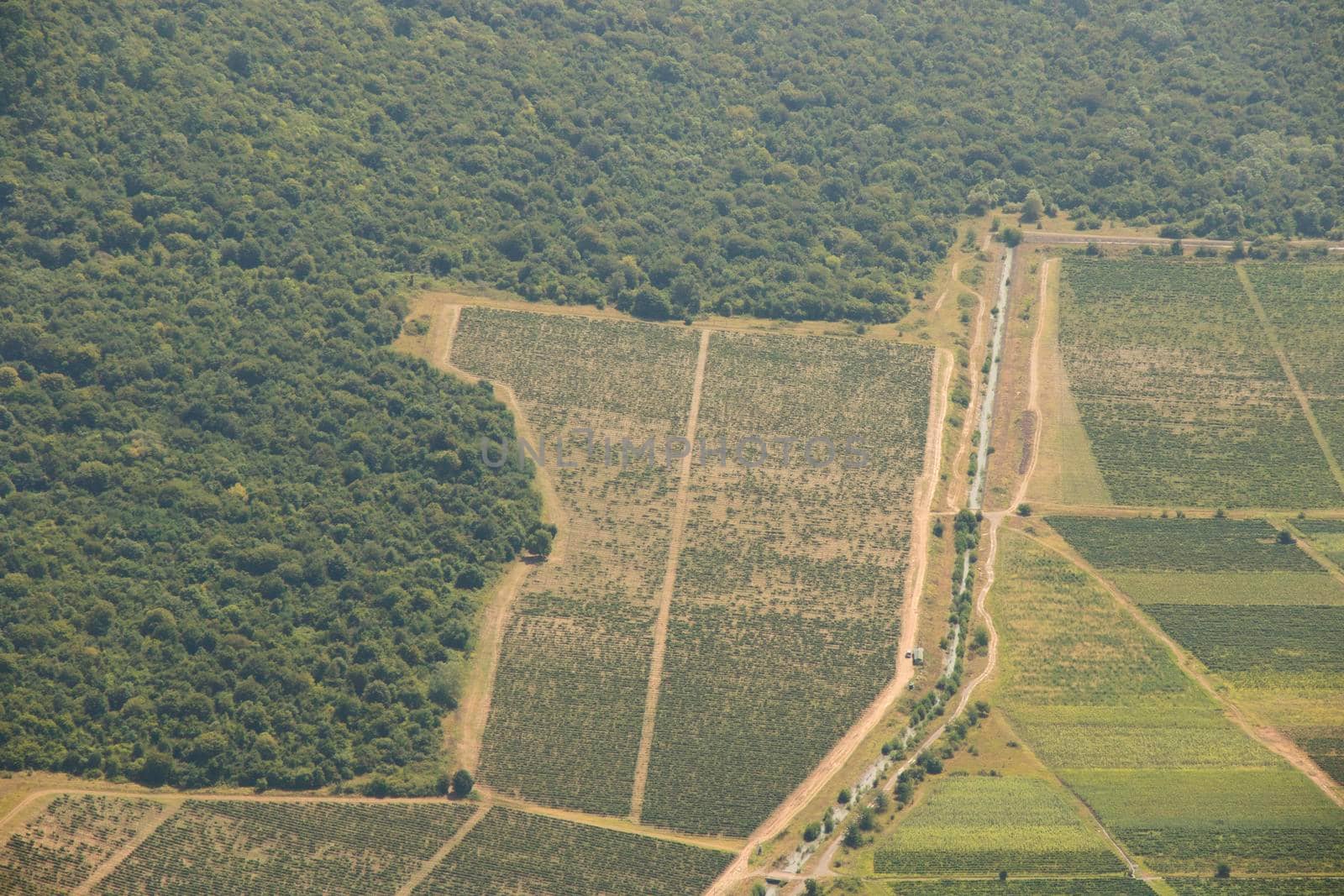 Telavi view and landscape from the helicopter, Georgian nature and beautiful fields, agriculture
