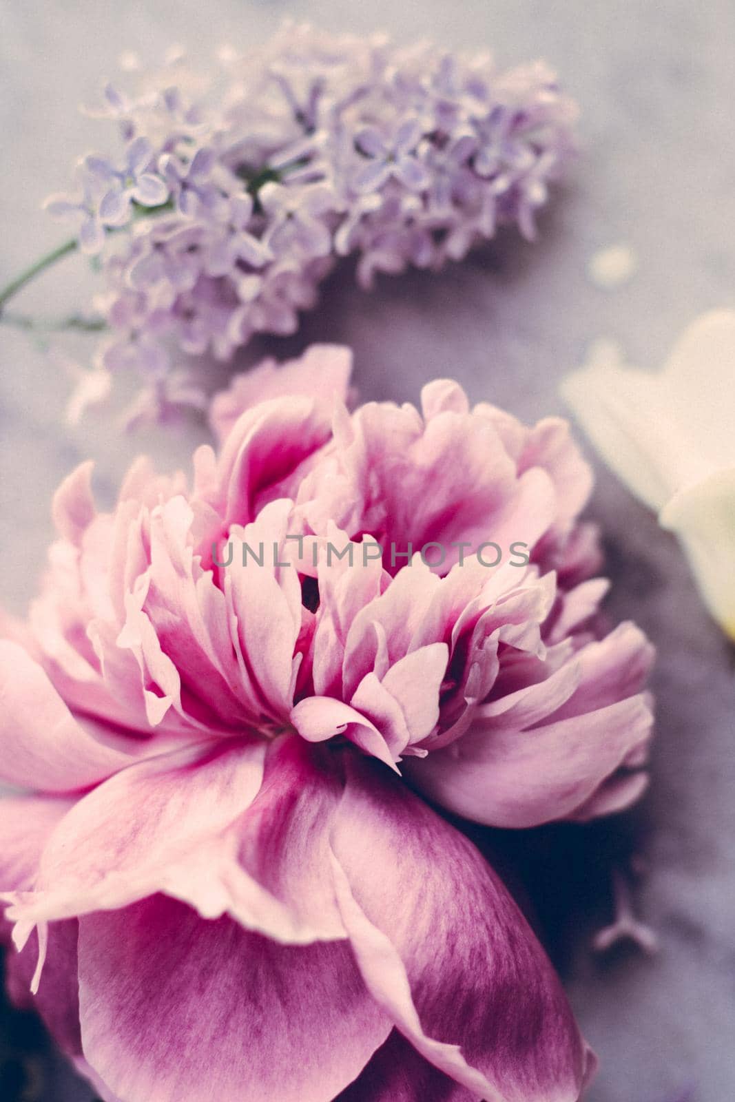 floral blossom - wedding, holiday and flower garden styled concept, elegant visuals