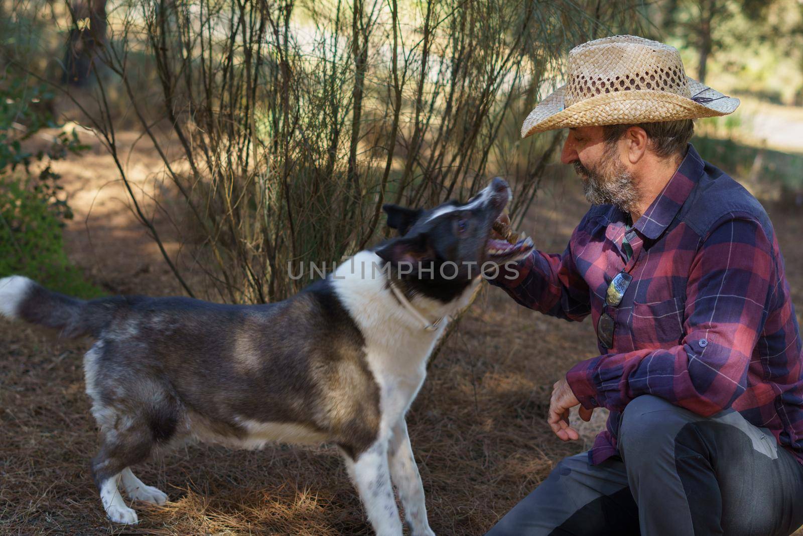 man with beard and hat playing with his dog in the mountains by joseantona