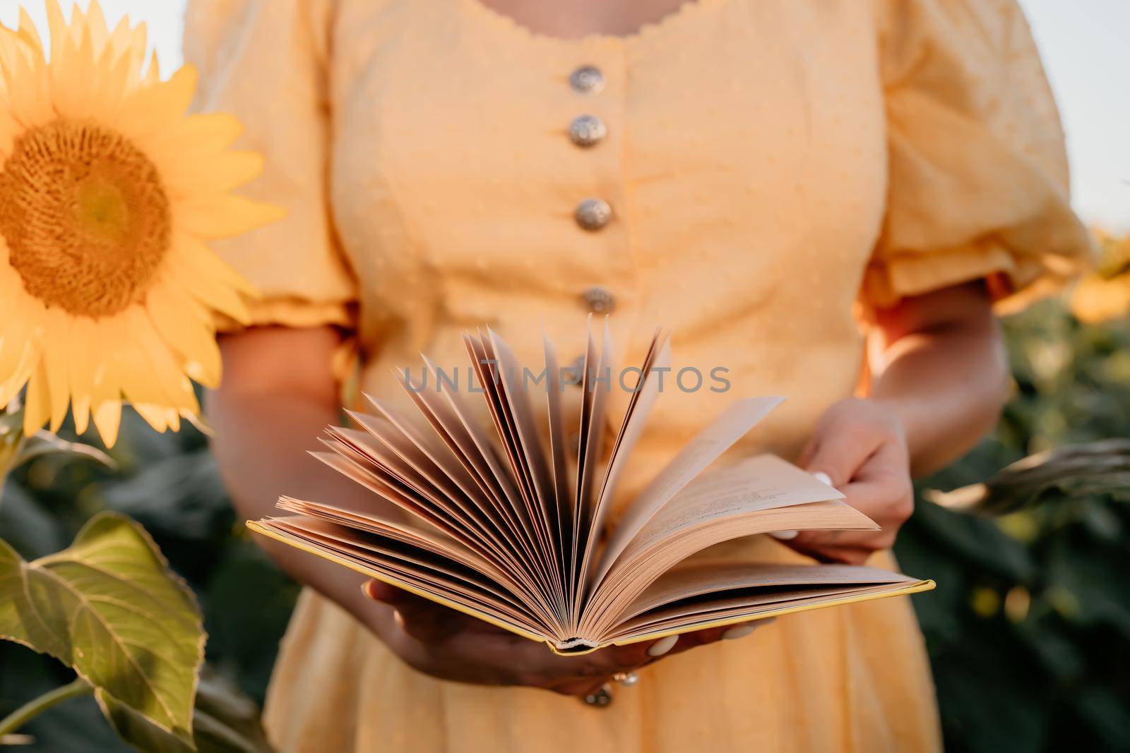 Woman flips through pages of old paper book on sunflowers field background. Aesthetics scene. Education, science, nature concept. High quality photo