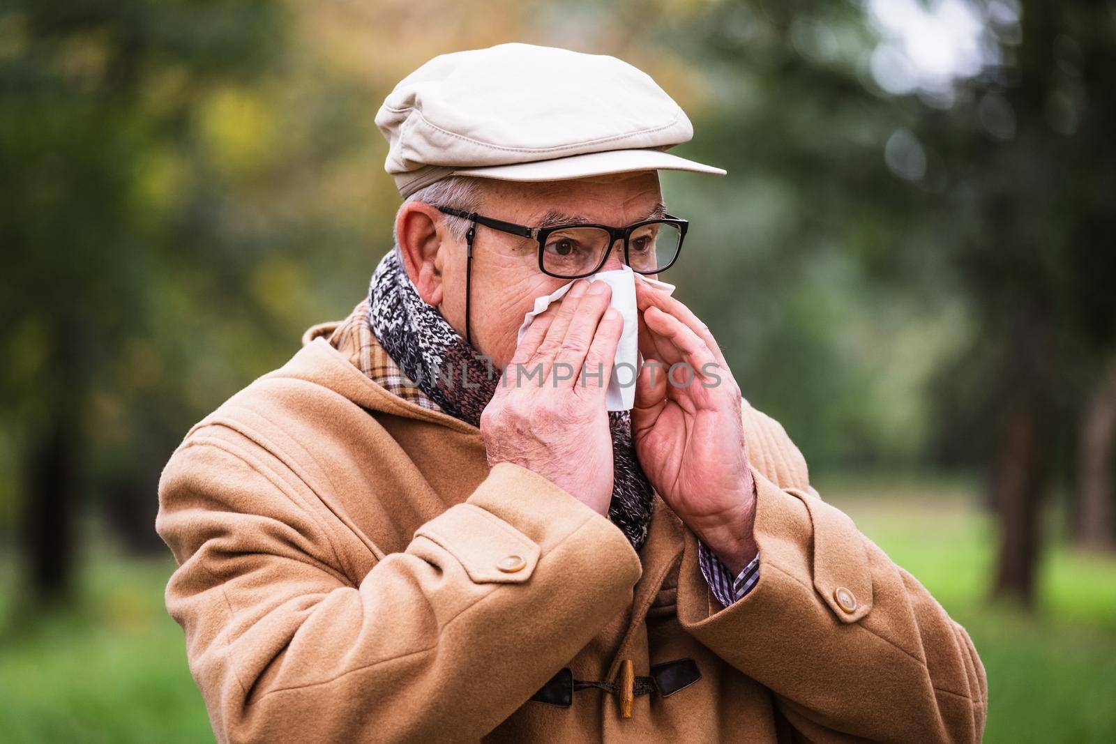 Outdoor portrait of senior man who is blowing nose in winter time in park.