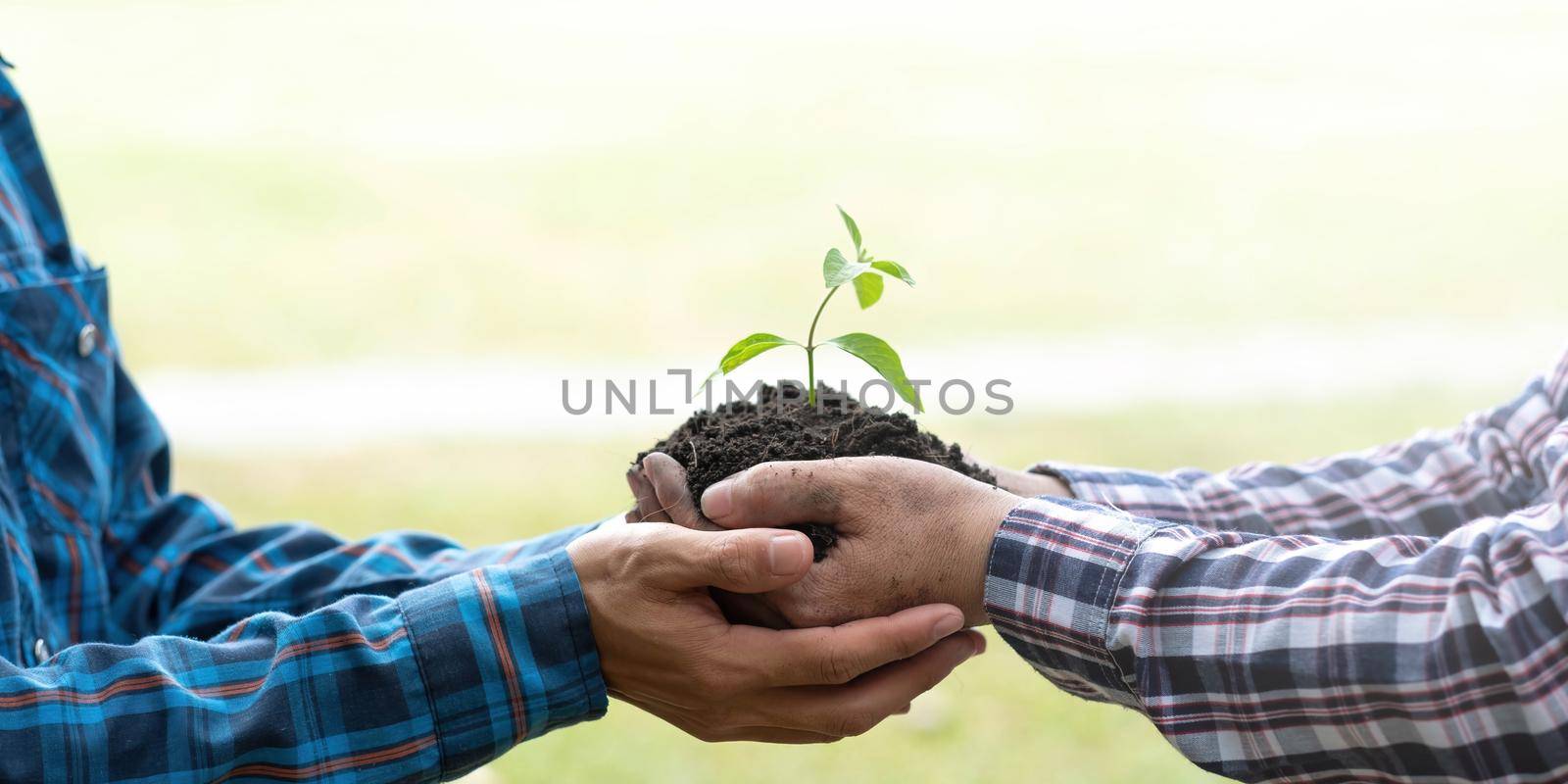 Two men are planting trees and watering them to help increase oxygen in the air and reduce global warming, Save world save life and Plant a tree concept. by wichayada