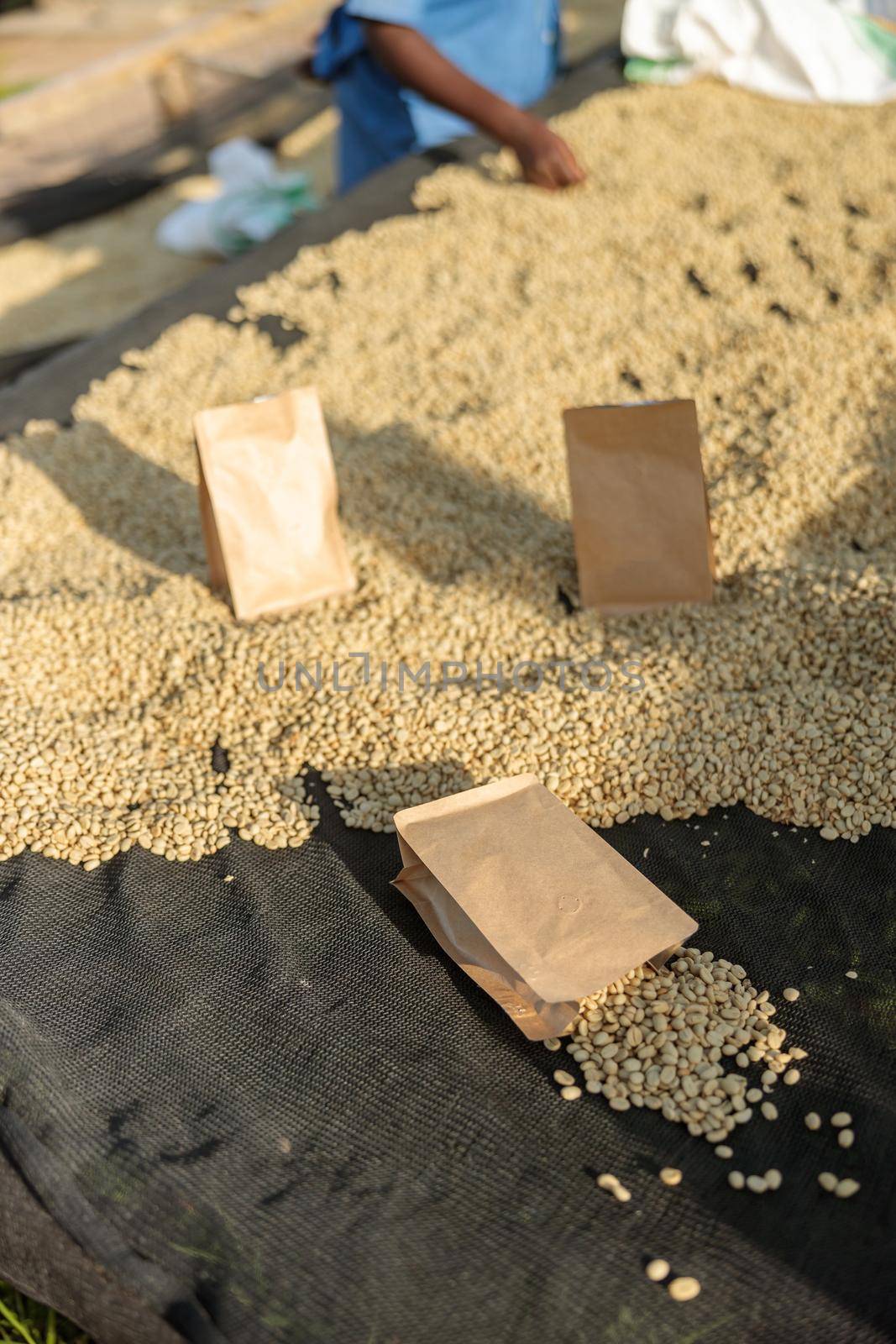 Top view of paper bags with coffee located on the tables at the coffee washing station