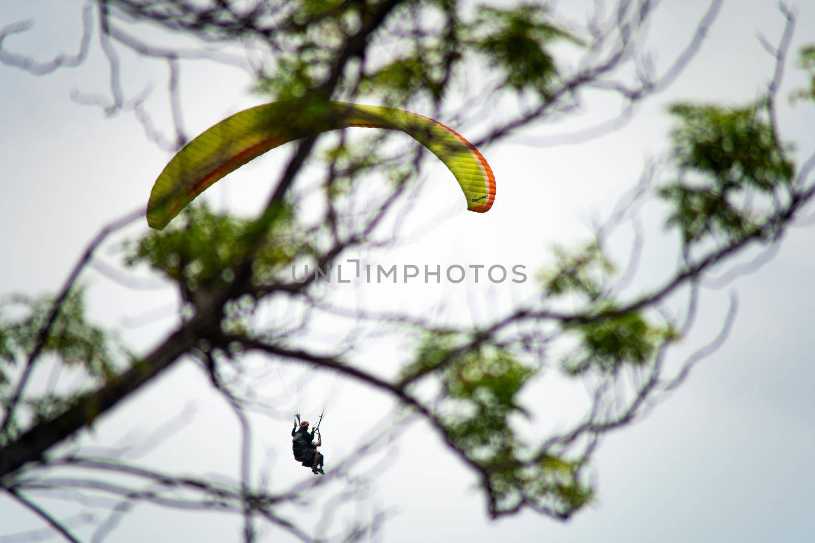 para gliding people with a bright orange yellow glider in the middle of hills mountains near nanital bir billing showing a popular adventure sport for tourists by Shalinimathur