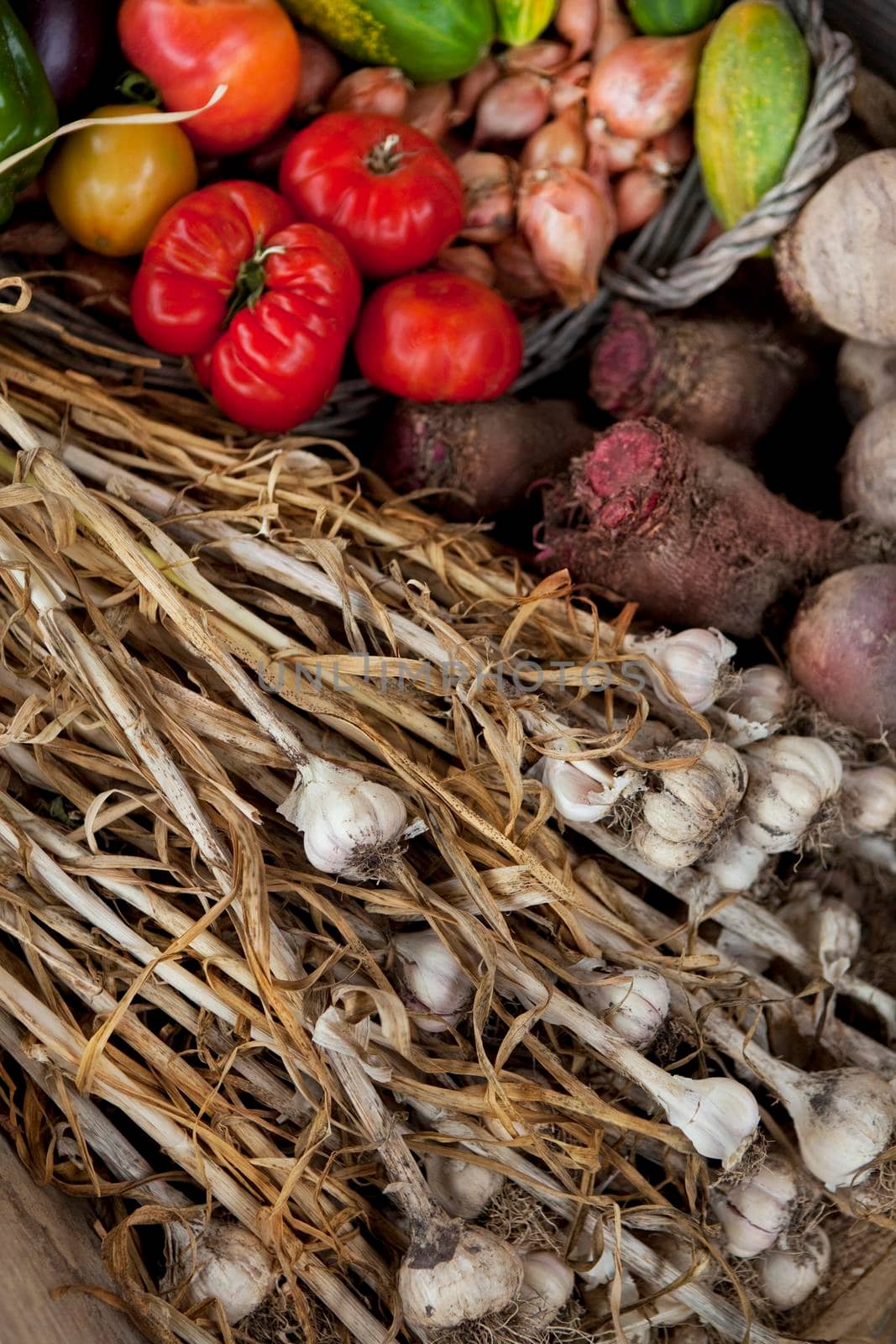 Bunch of garlic and vegetable on a market stall