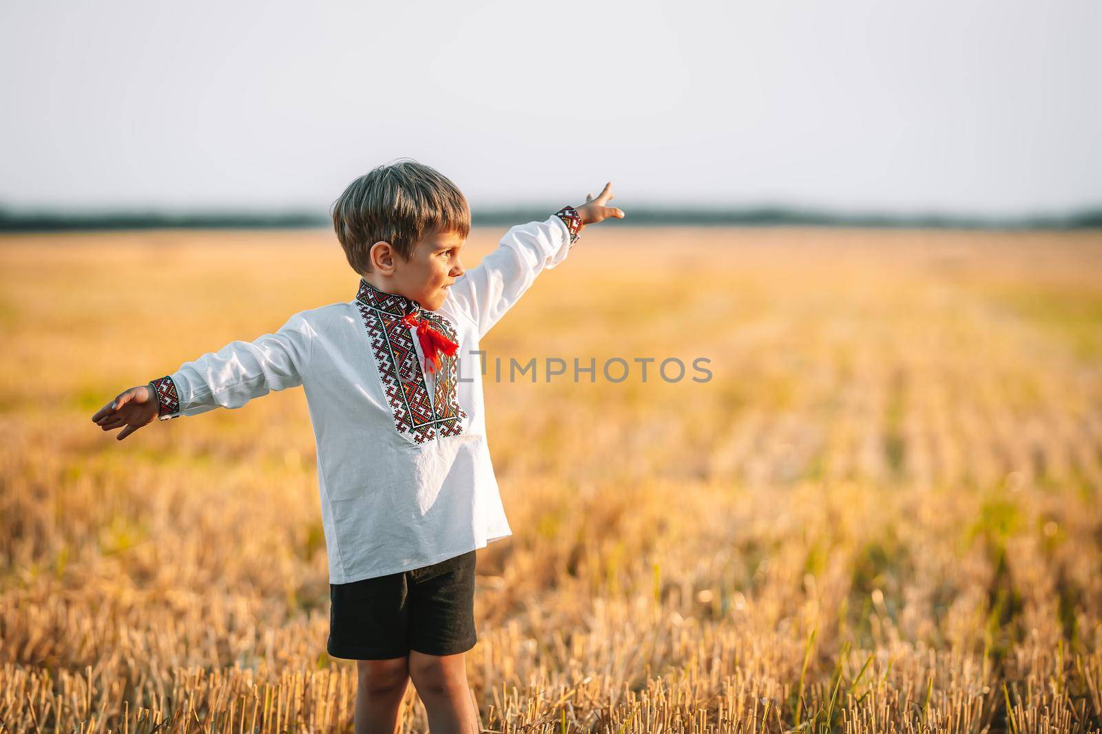 Happy little boy - Ukrainian patriot child with open arms as airplane in field after collection wheat, open area. Ukraine, peace, independence, freedom, win in war. Copy space. High quality photo