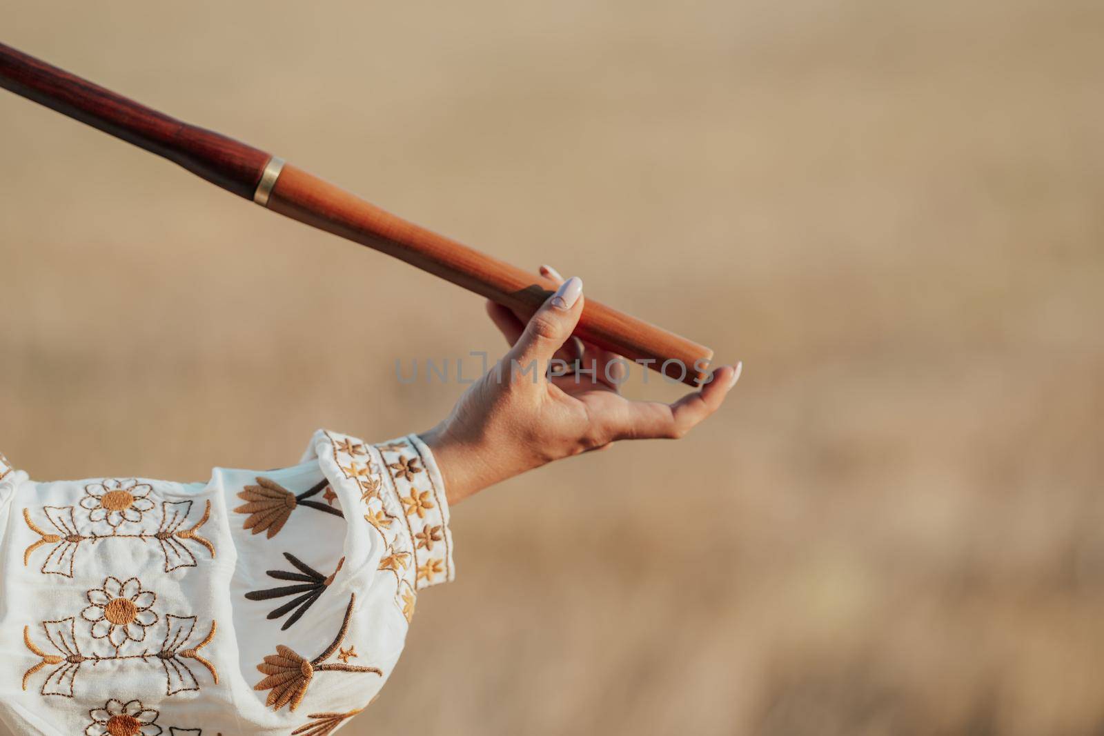 Rural woman plays on wooden flute - ukrainian telenka, tylynka in wheat field. Folk music, sopilka concept. Musical instrument. Musician in traditional embroidered shirt - Vyshyvanka. Quality photo