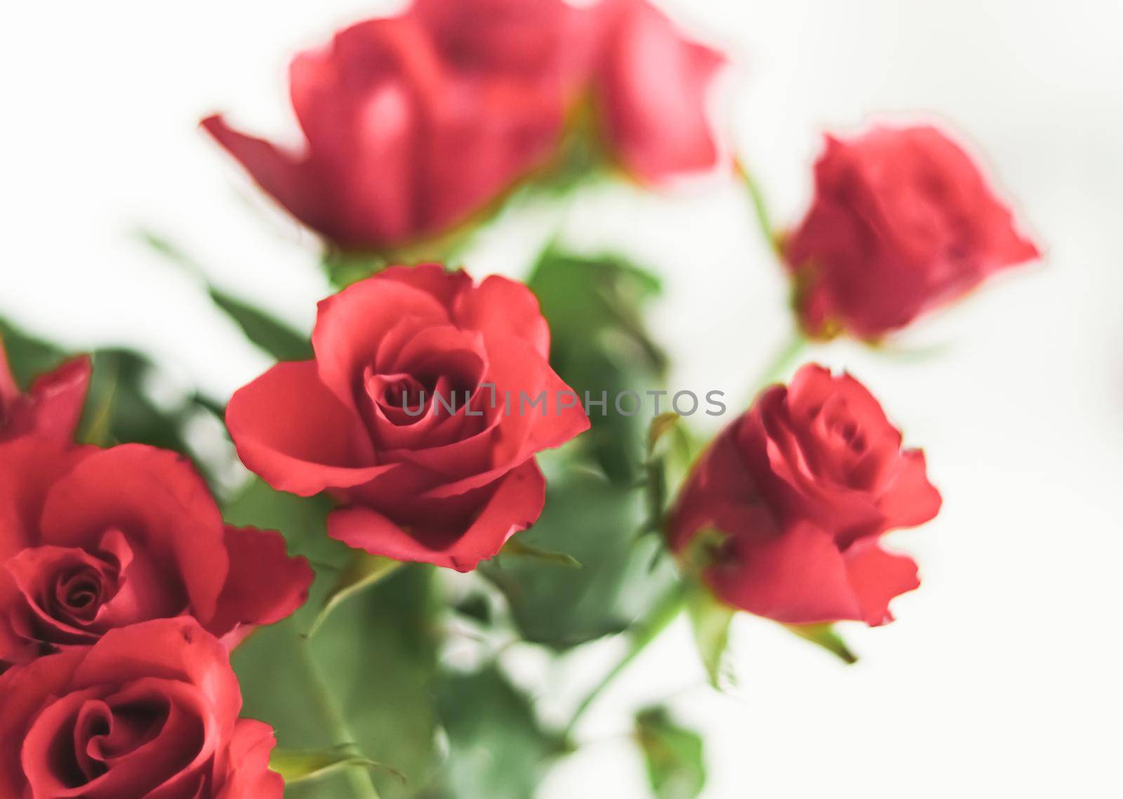 Tender bouquet of roses, floral gift and beautiful flowers closeup