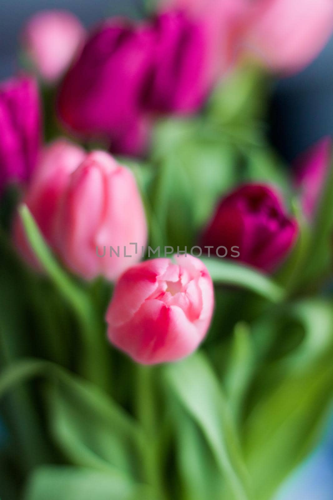 tulip bouquet - wedding, holiday and floral garden styled concept, elegant visuals
