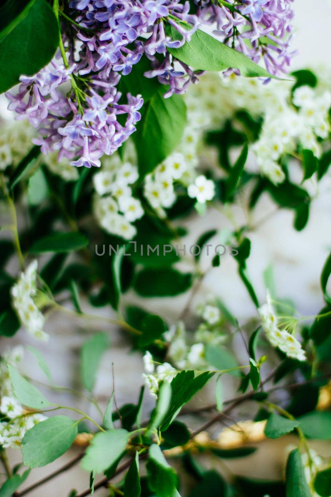 floral blossom - wedding, holiday and flower garden styled concept, elegant visuals