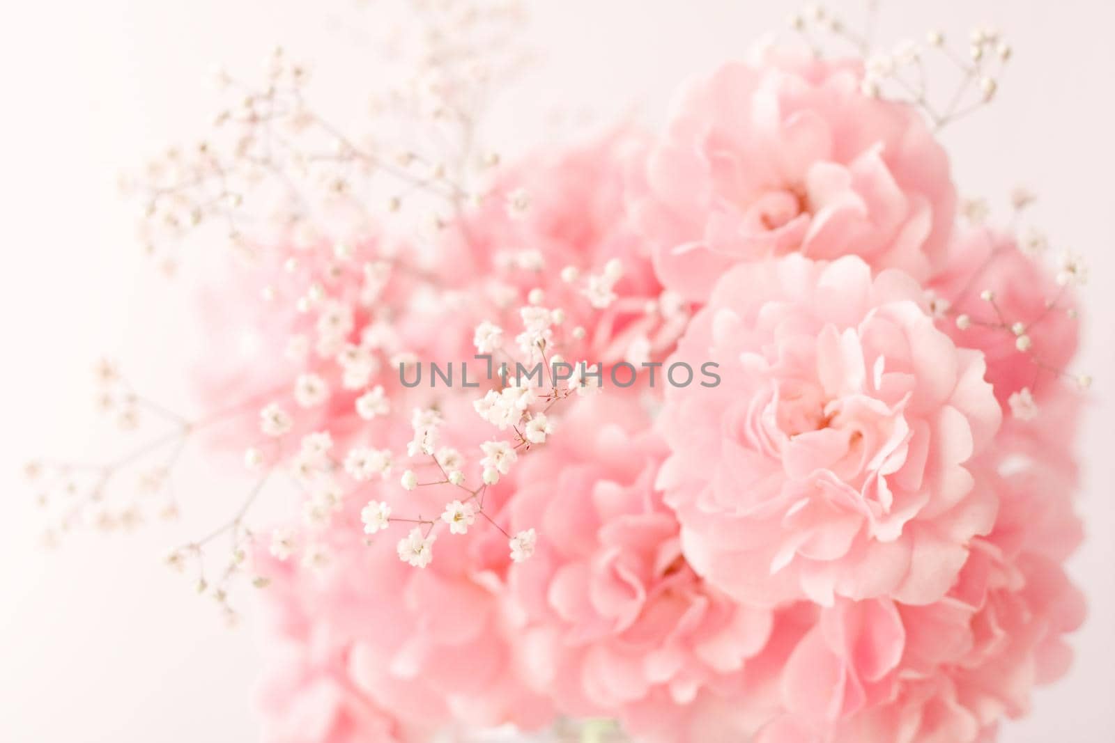 rose flower blossom - wedding, holiday and floral garden styled concept, elegant visuals