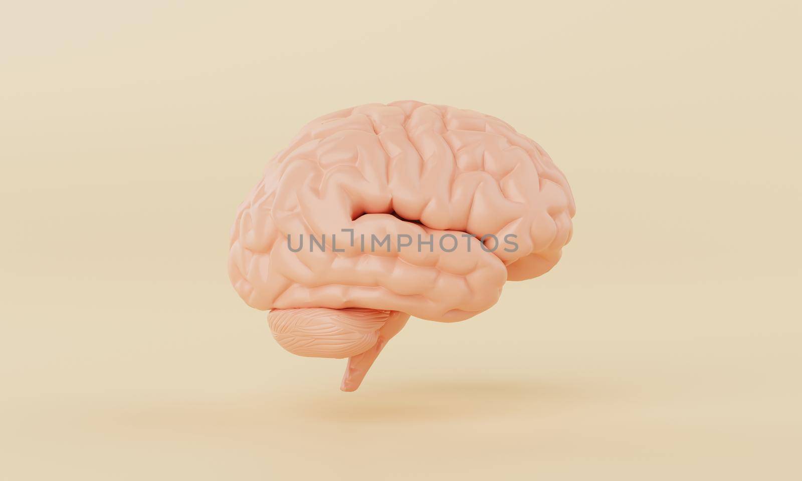 Orange simple mind brain model on yellow background. Medical science healthcare and abstract object concept. 3D illustration rendering