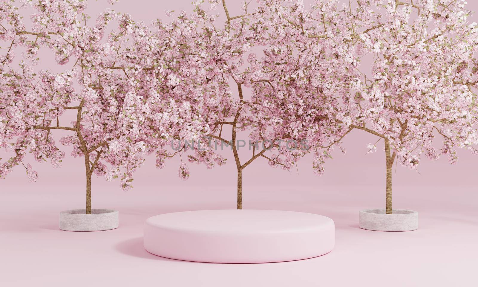 Minimal style cylinder pink product podium showcase with cherry blossom tree or "Sakura" in Japanese language at public garden. Technology and object concept. 3D illustration rendering by MiniStocker