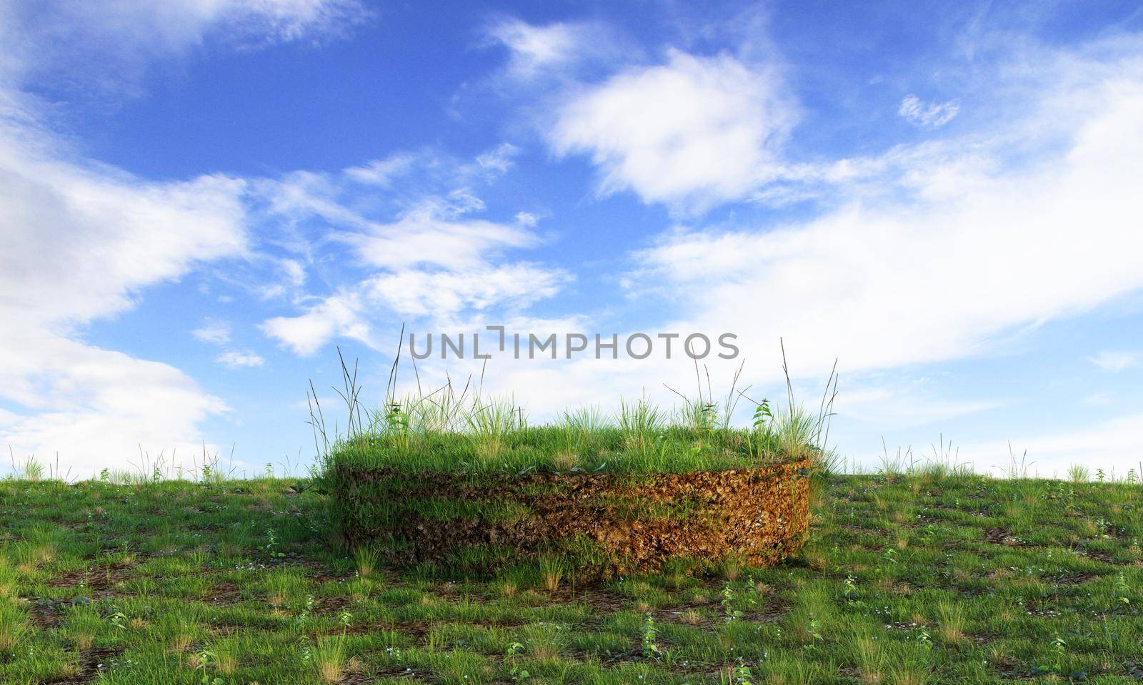 Grassy podium with blue clear sky background for product advertising. Nature and object concept. 3D illustration rendering