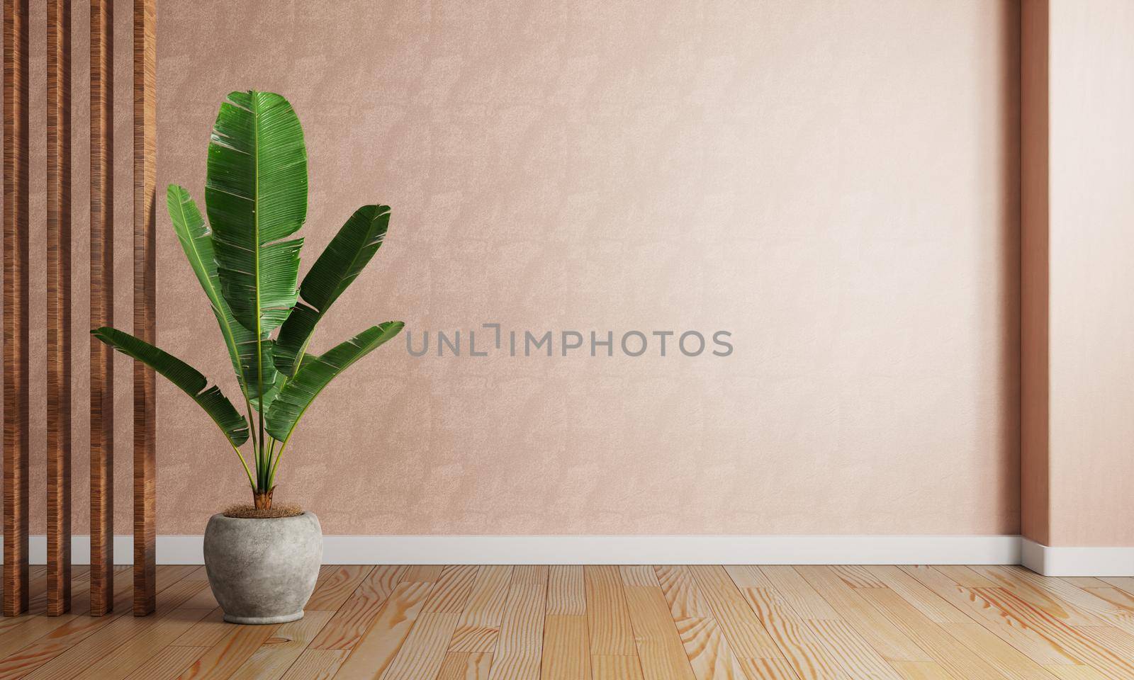 Banana plant pot in the red coral color living room with raw concrete wall background. Interior and Architecture concept. 3D illustration rendering