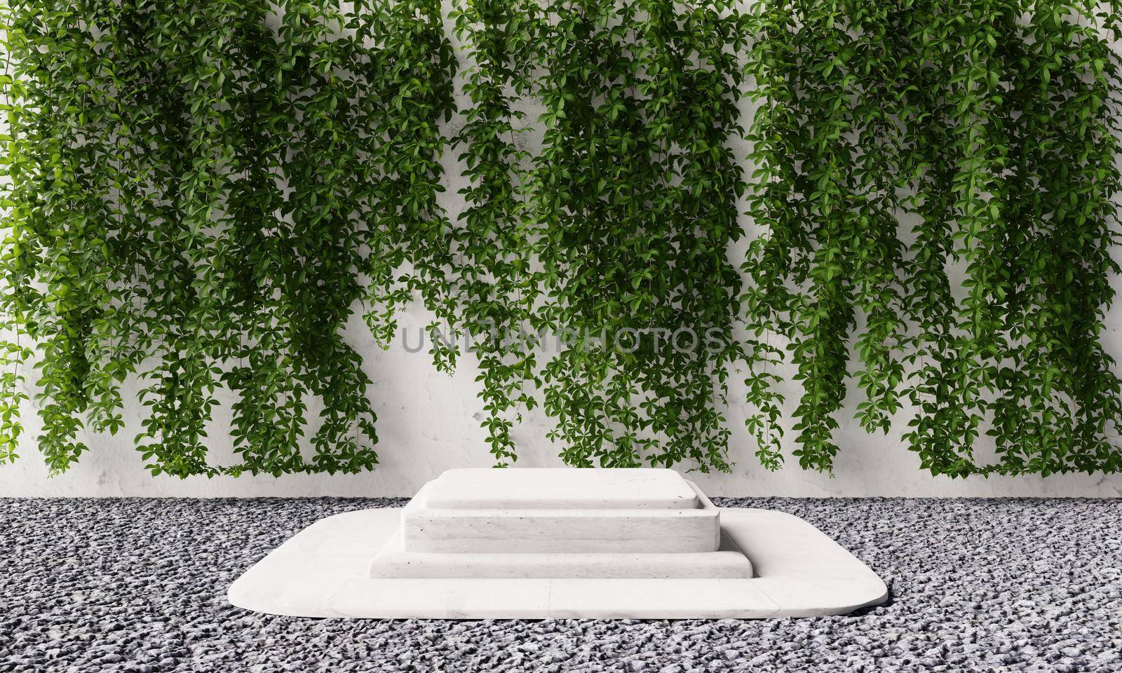 Rectangle stone podium platform with natural green vine creeper in backyard garden with shadow background. Nature and object for advertising concept. 3D illustration rendering by MiniStocker
