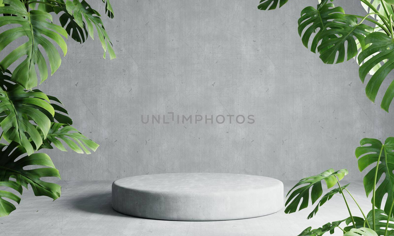 One round podium in grey loft color background with Monstera plant foreground. Abstract wallpaper template element and architecture interior object concept.3D illustration rendering