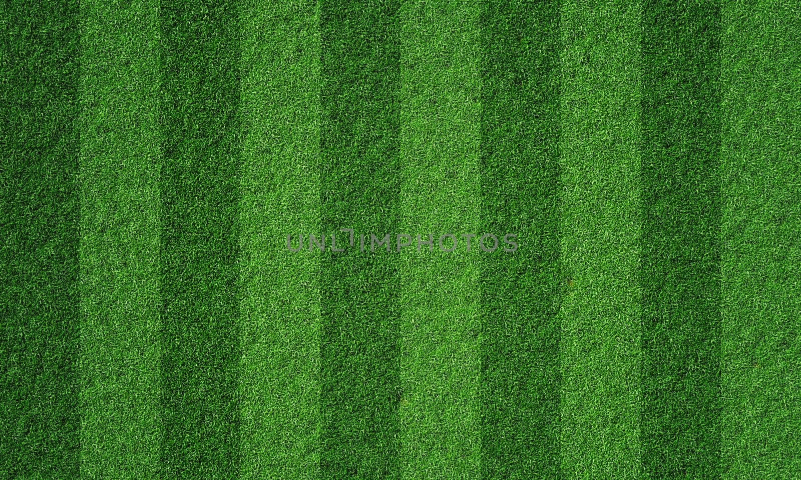 Soccer field in football stadium with line grass pattern. Sport background and athletic wallpaper concept. 3D illustration rendering by MiniStocker