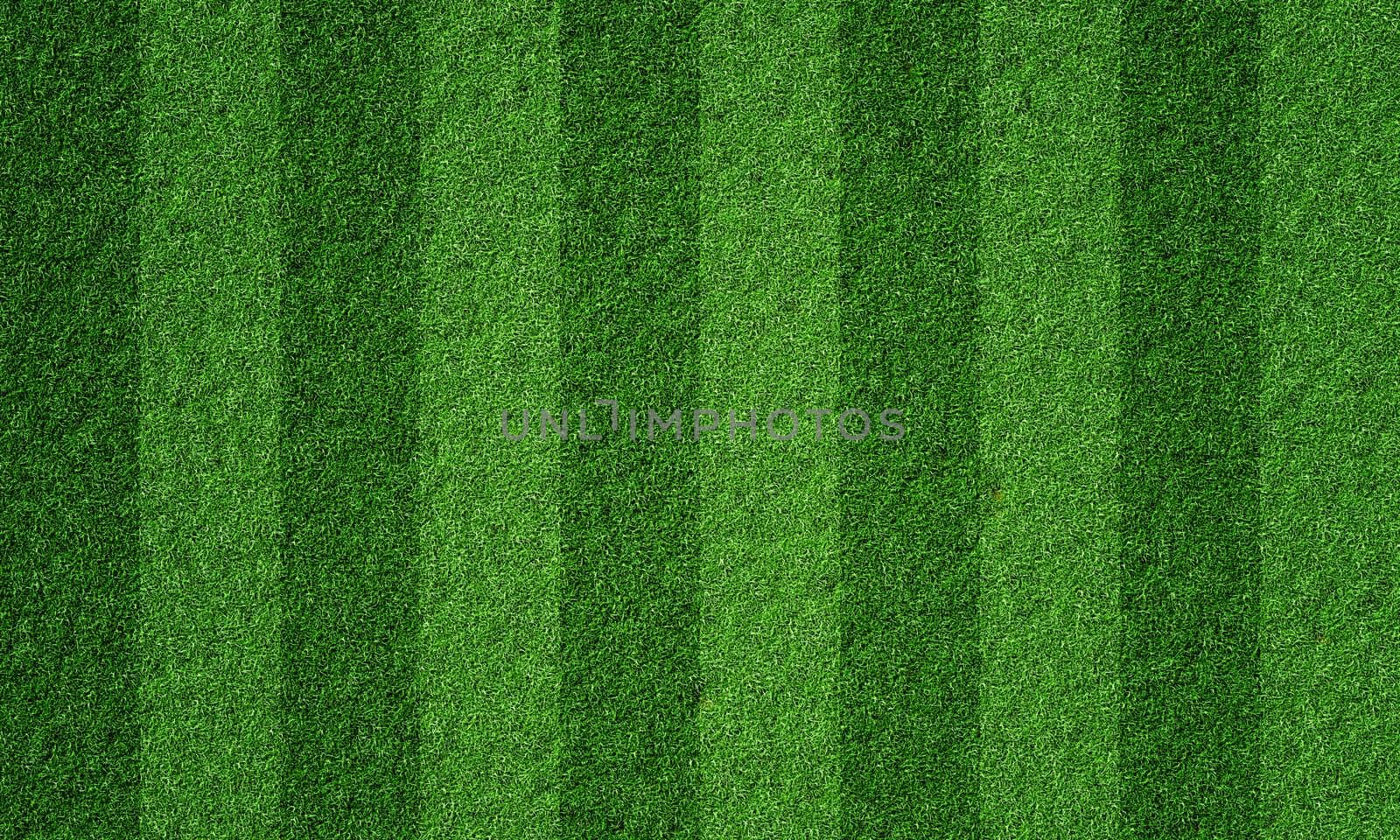 Soccer field in football stadium with line grass pattern. Sport background and athletic wallpaper concept. 3D illustration rendering