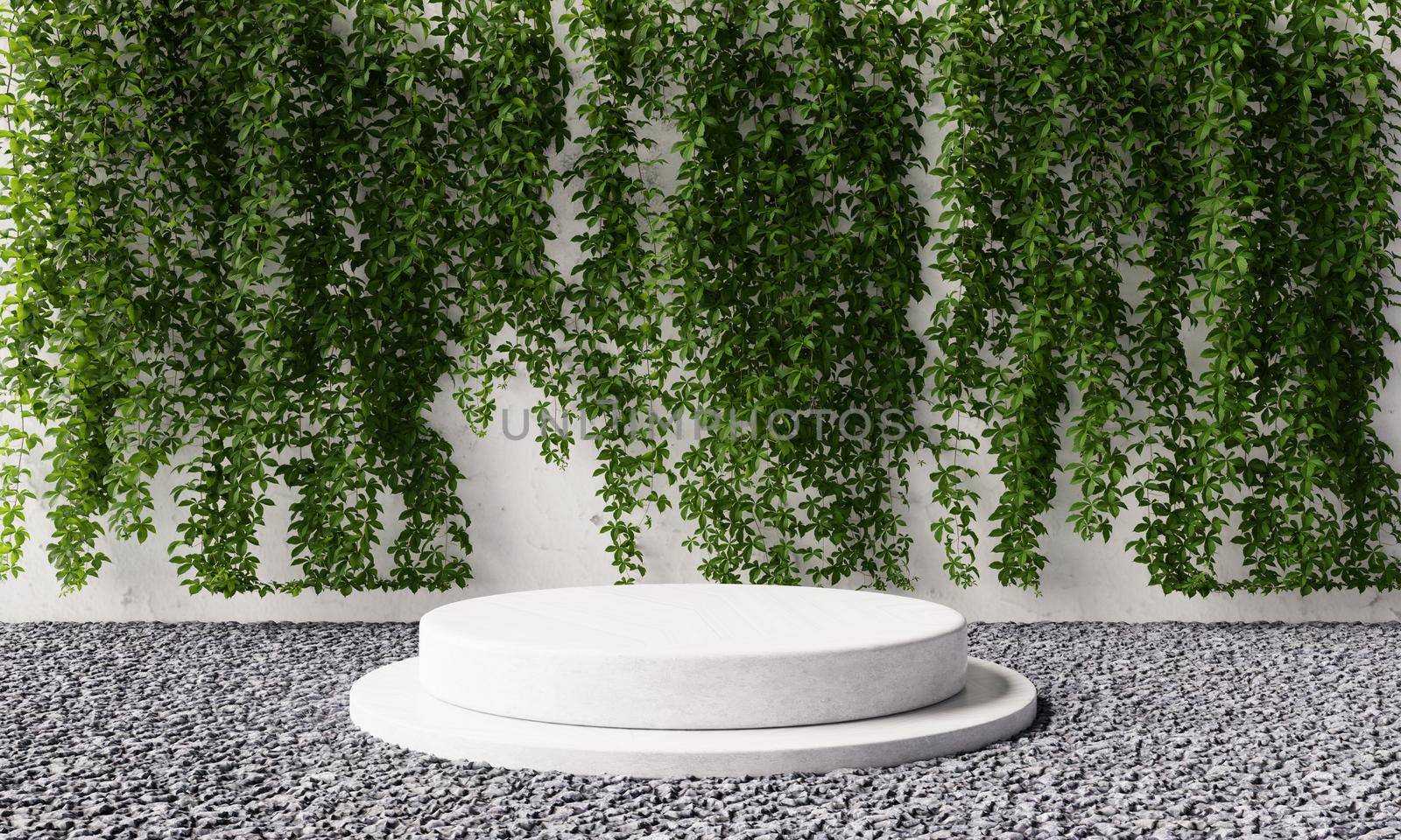 Round cylinder product stone podium in backyard garden with vine Virginia creeper on white concrete wall background. Exterior nature and architecture concept. 3D illustration rendering