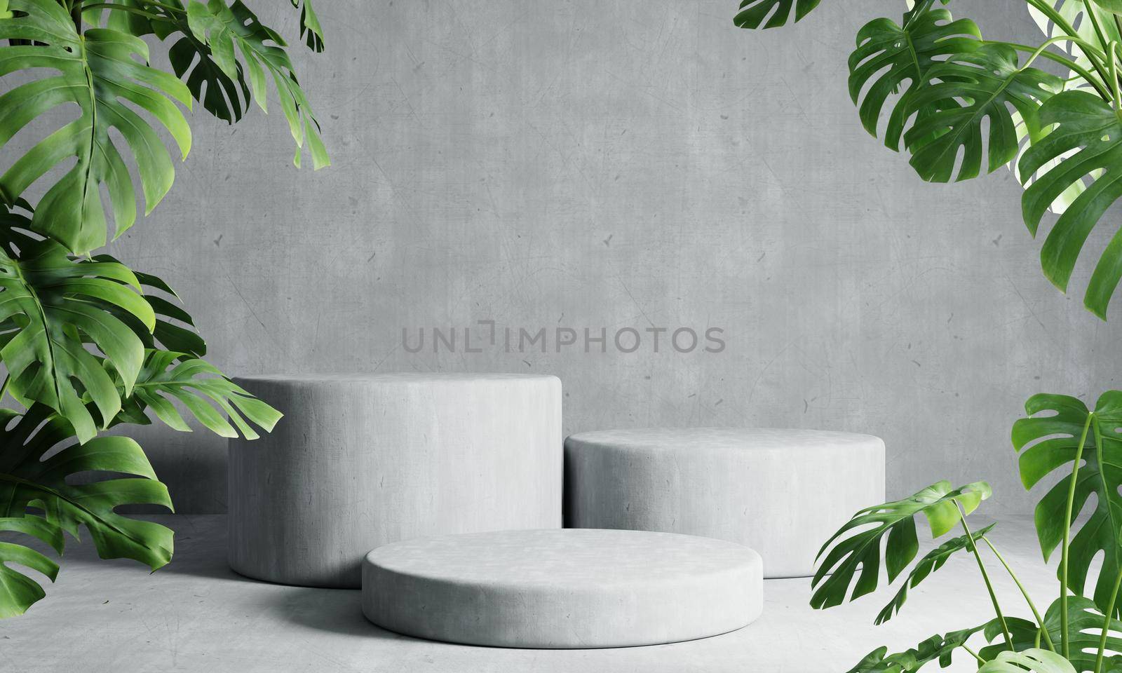 Three round podiums in grey loft color background with Monstera plant foreground. Abstract wallpaper template element and architecture interior object concept.3D illustration rendering