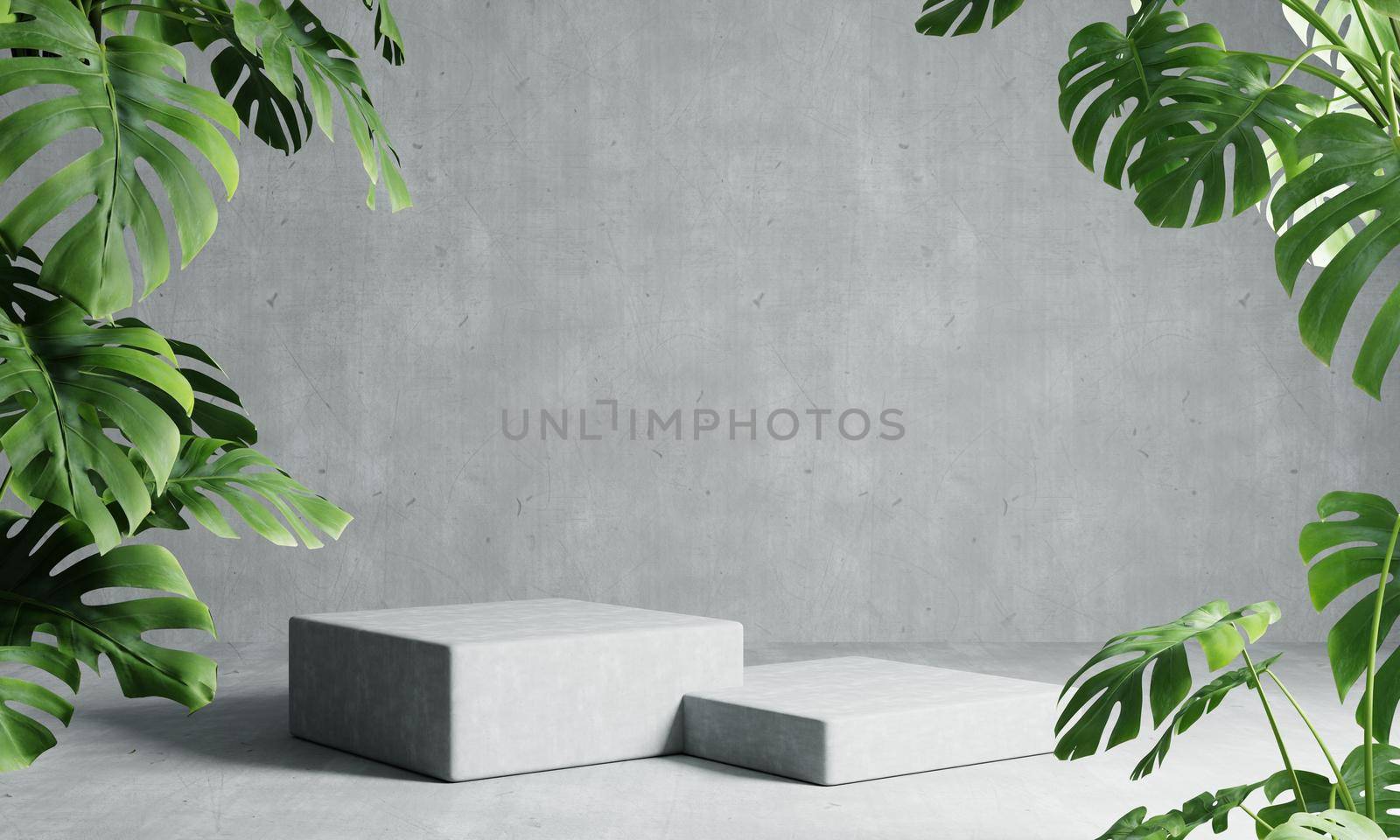 Two rectangle podiums in grey loft color background with Monstera plant foreground. Abstract wallpaper template element and architecture interior object concept.3D illustration rendering