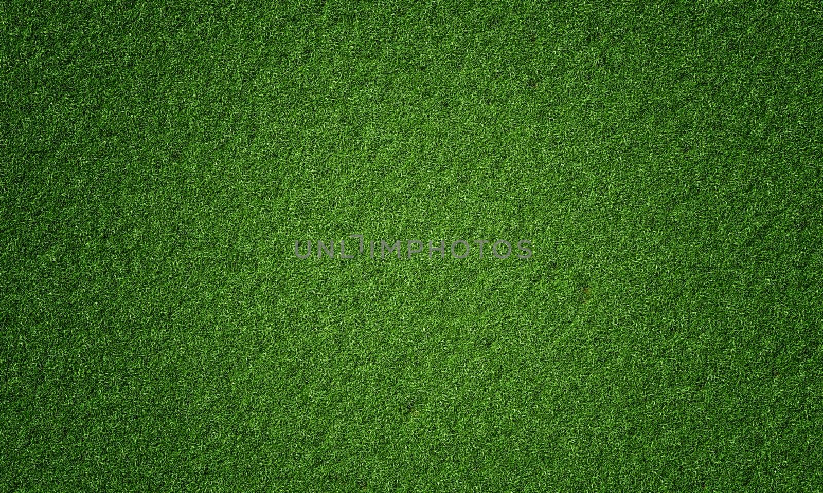 Top view of natural fresh green grassy background. Nature and wallpaper concept. 3D illustration rendering