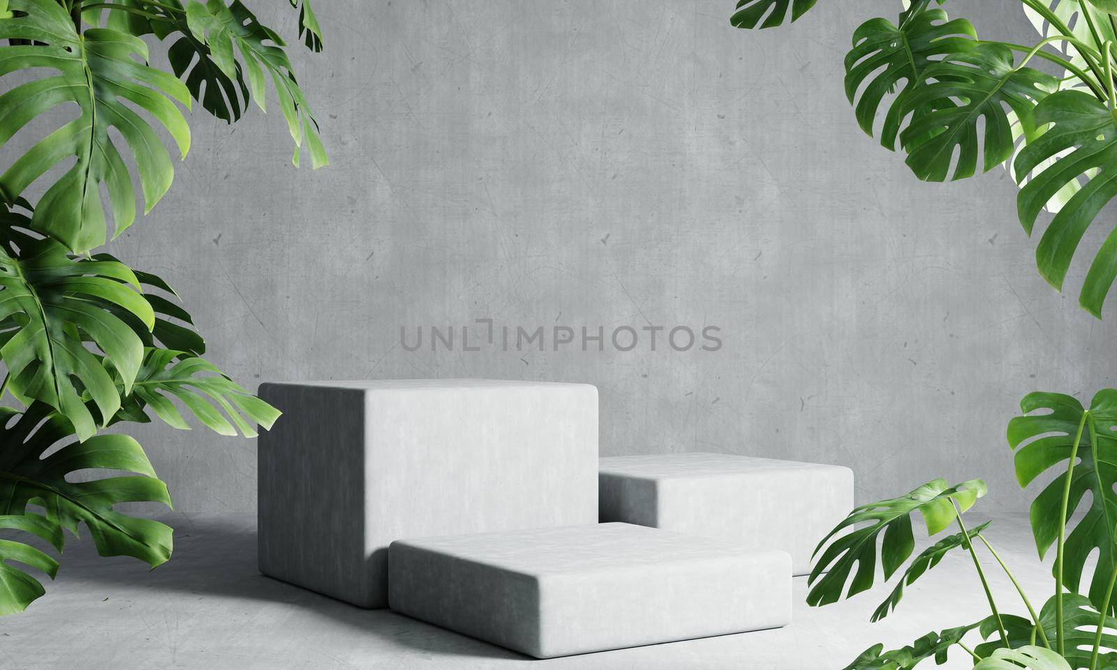 Three rectangle podiums in grey loft color background with Monstera plant foreground. Abstract wallpaper template element and architecture interior object concept.3D illustration rendering