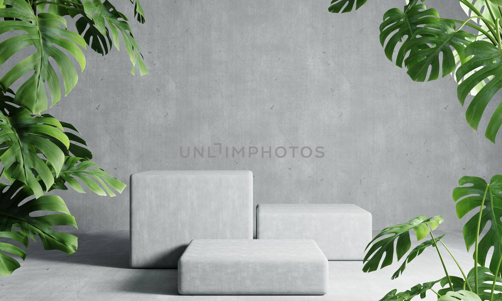 Three rectangle podiums in grey loft color background with Monstera plant foreground. Abstract wallpaper template element and architecture interior object concept.3D illustration rendering