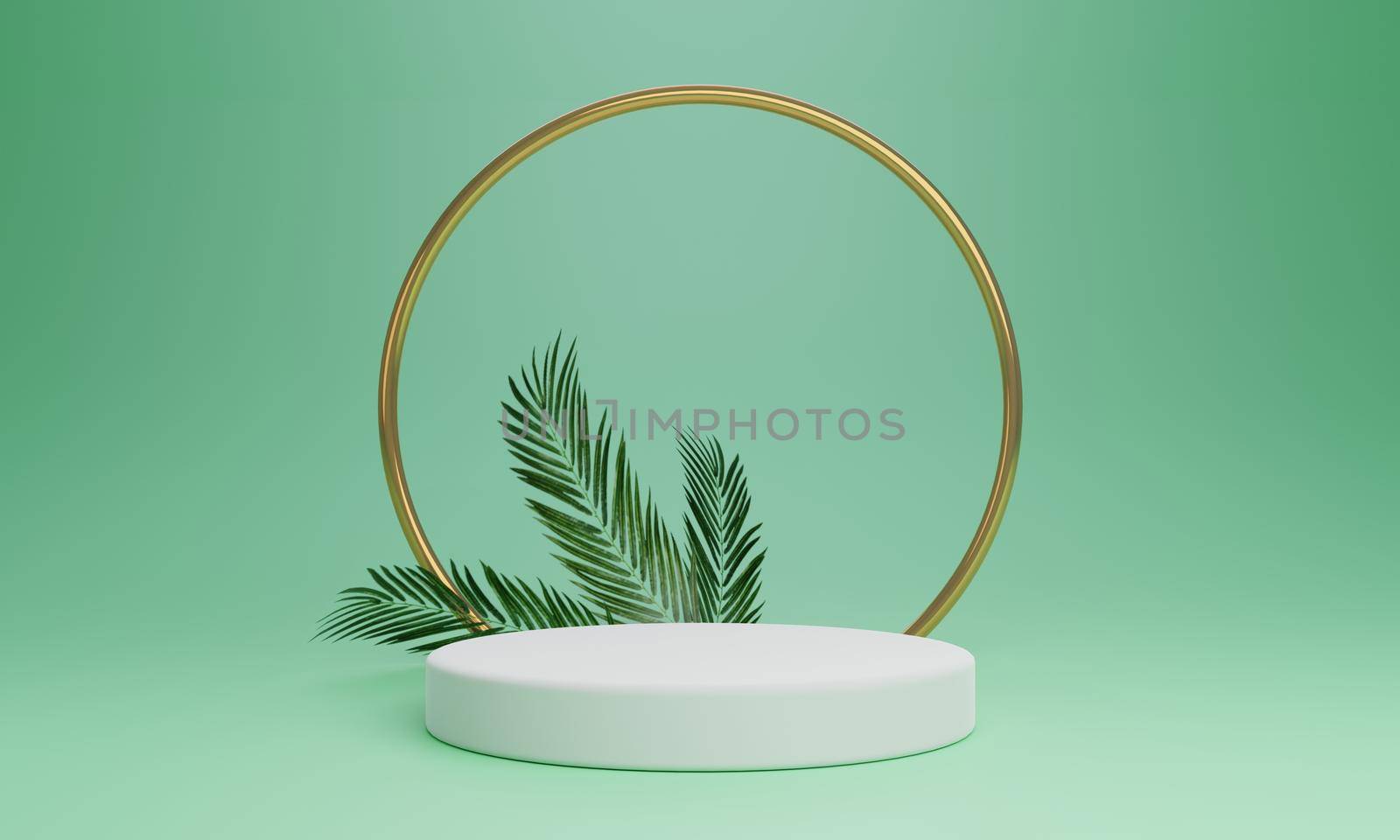 Minimal product podium stage with green pastel color and coconut leaves in geometric shape for presentation background. Abstract background and decoration scene template. 3D illustration rendering by MiniStocker