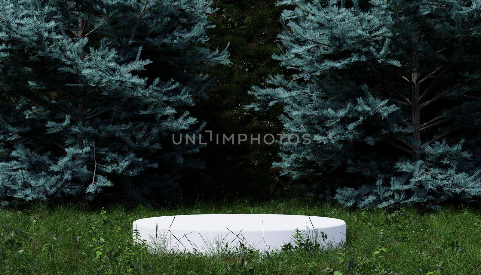 White minimal podium in the middle of pine woods forest on green grass and Bellflowers and Daisy flowers. Object and Nature concept. 3D illustration rendering by MiniStocker