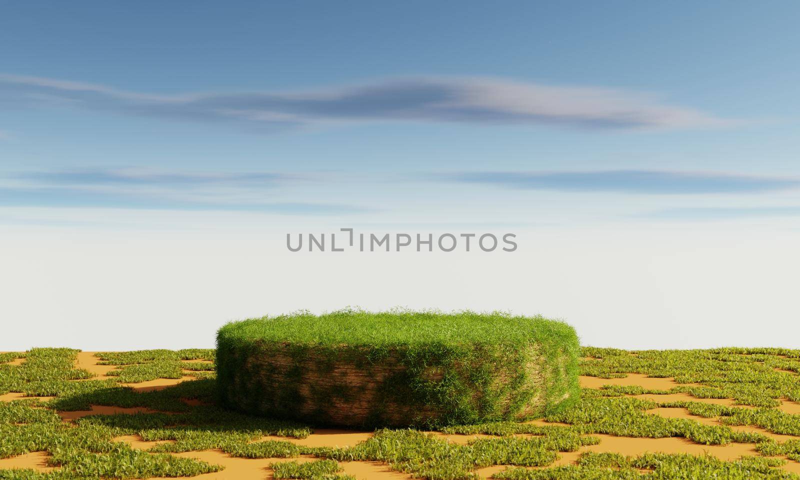 Grassy podium with cloudy blue sky background. Nature and abstract object for product presentation advertising concept. 3D illustration rendering by MiniStocker