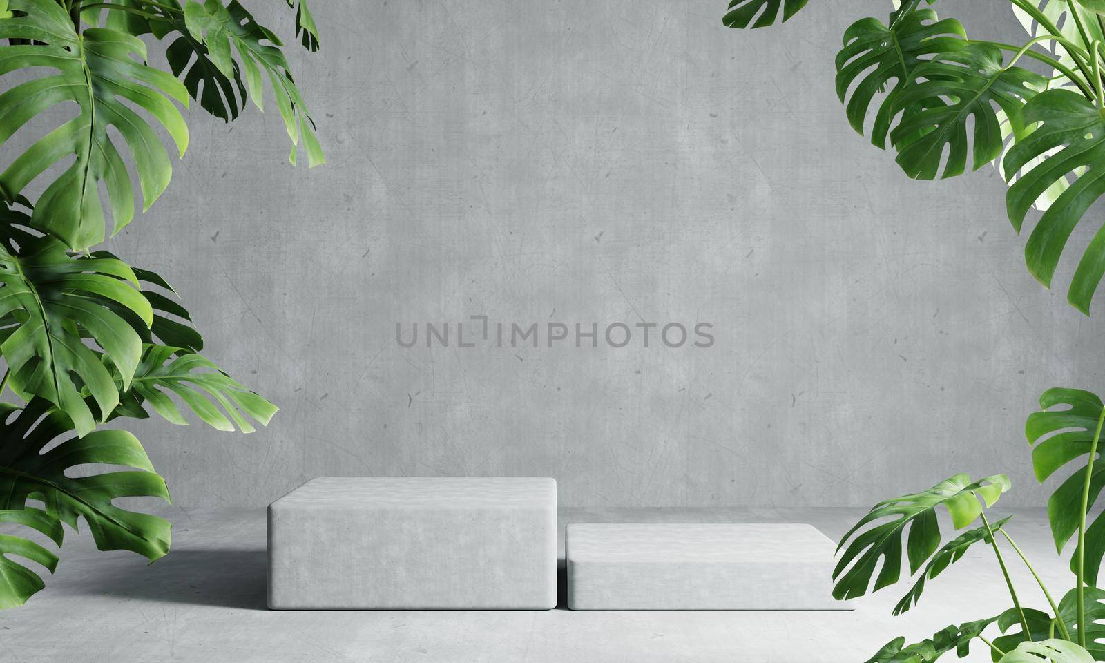 Two rectangle podiums in grey loft color background with Monstera plant foreground. Abstract wallpaper template element and architecture interior object concept.3D illustration rendering