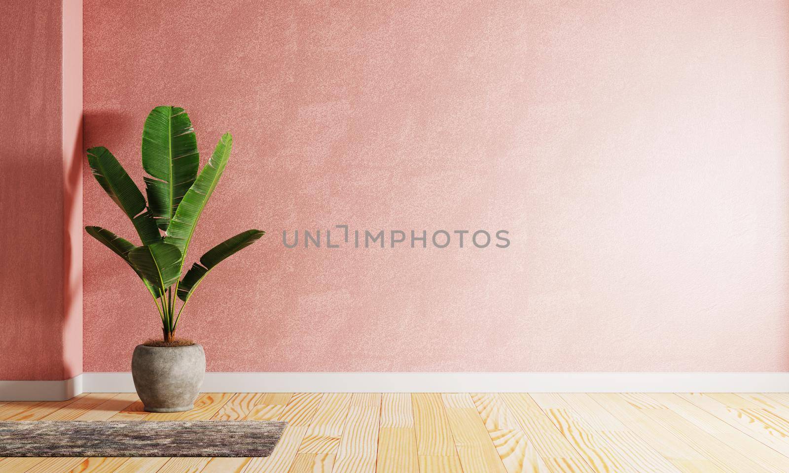 Banana plant pot in the red coral color living room with raw concrete wall background. Interior and Architecture concept. 3D illustration rendering