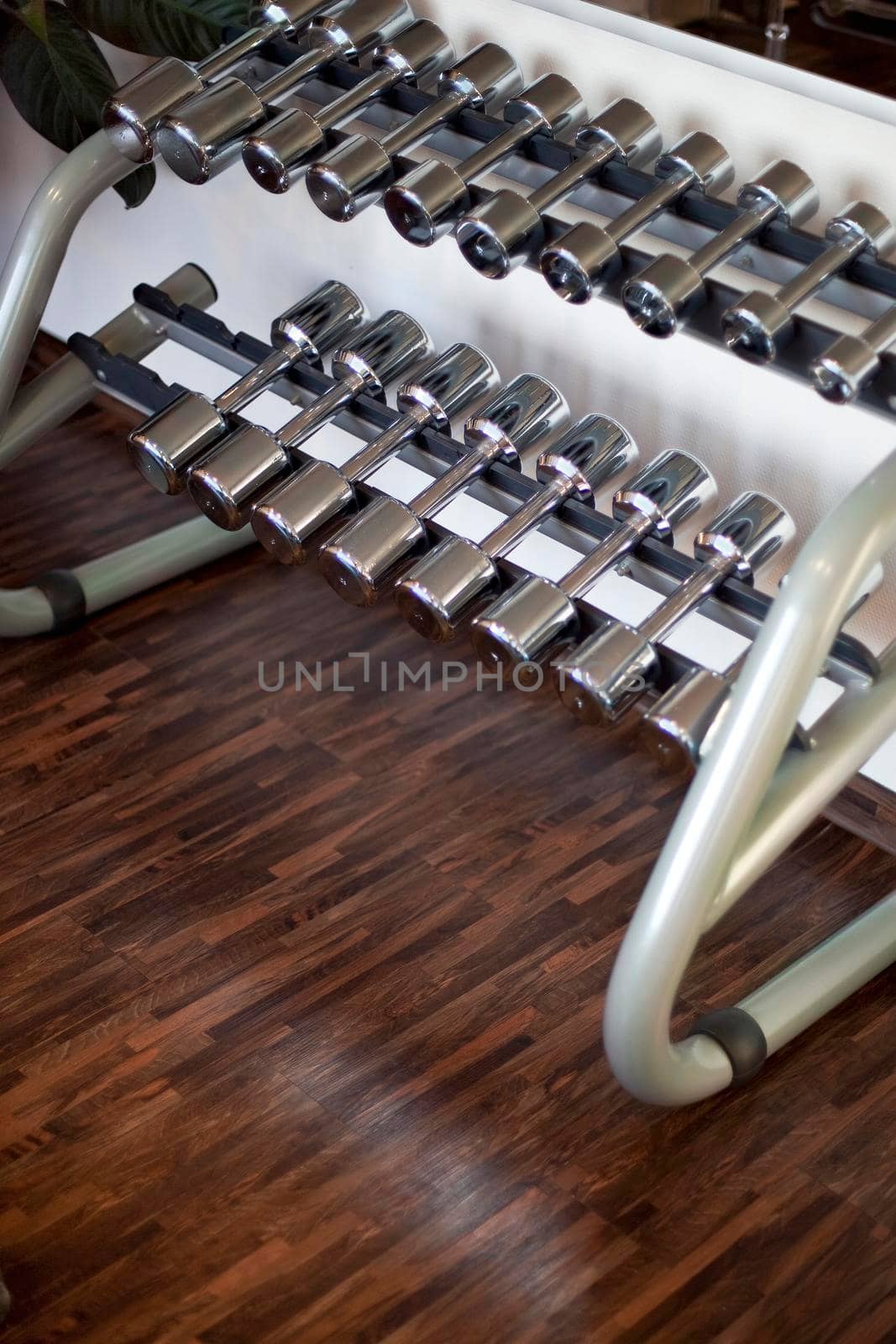 Small dumbbells in the spa of a hotel