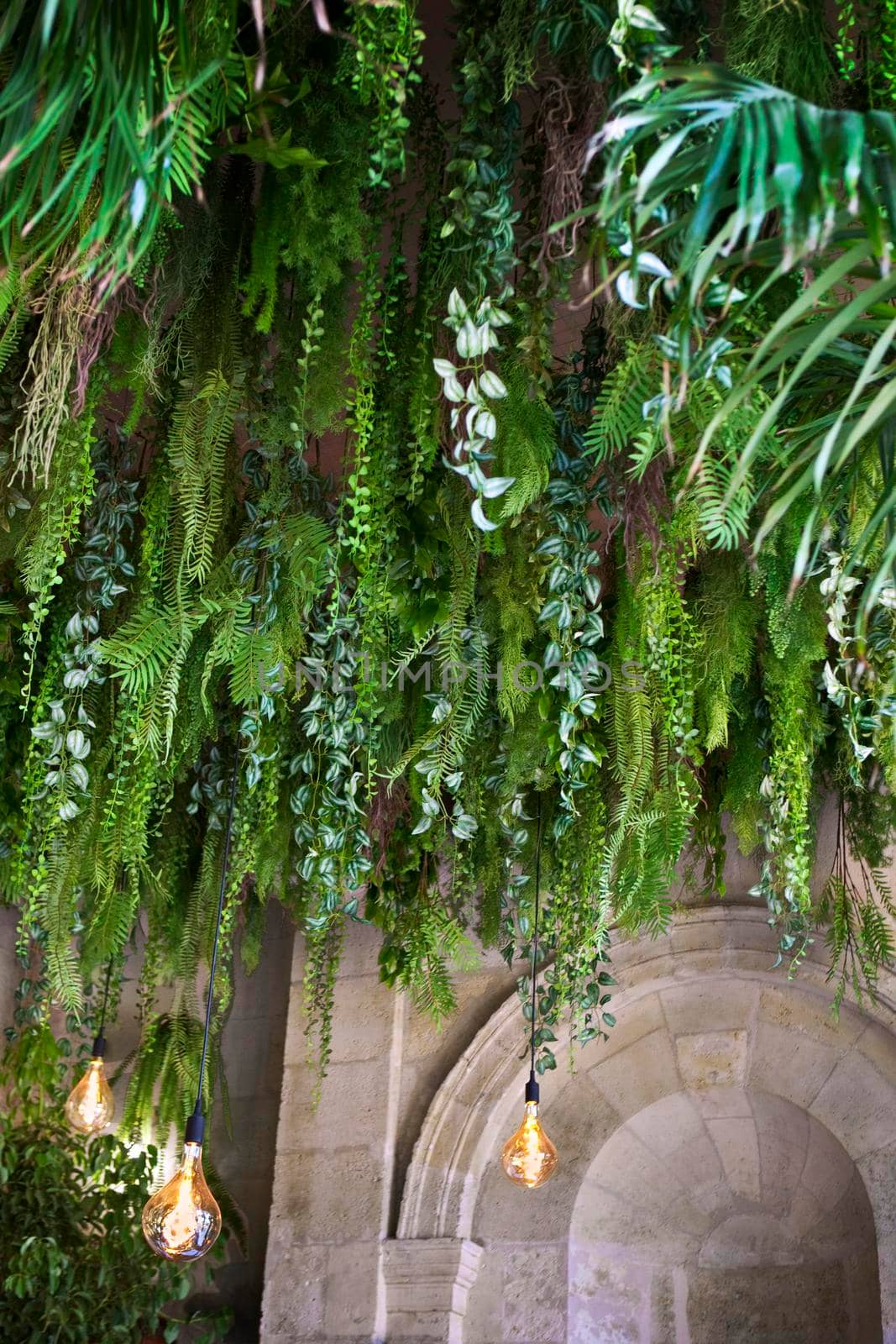 Vegetable decoration in a stoned French interior