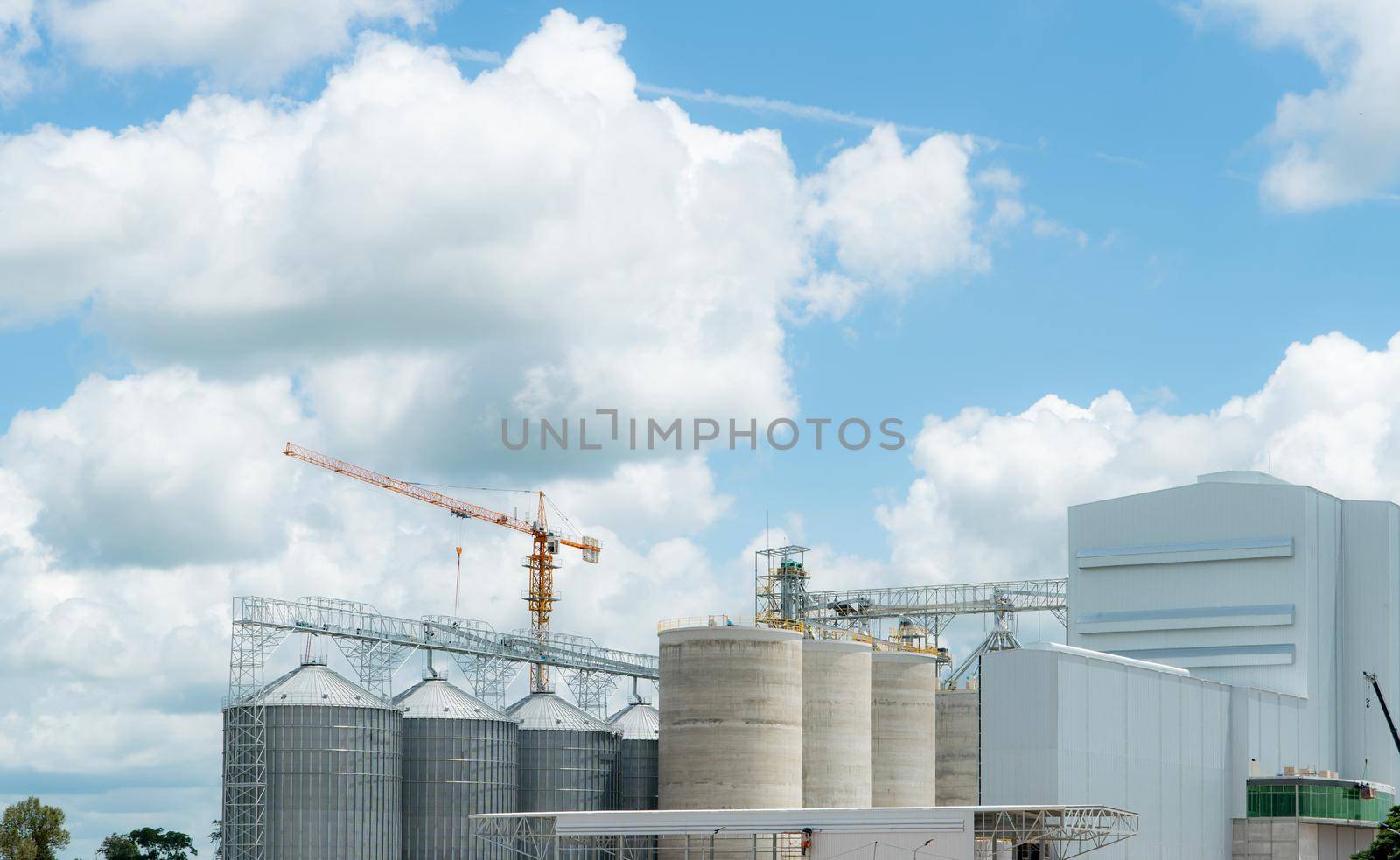 Animal feed factory construction site. Agricultural silo at feed mill factory. Tank for store grain in feed manufacturing. Seed stock tower for commercial animal feed production. Animal food industry. by Fahroni