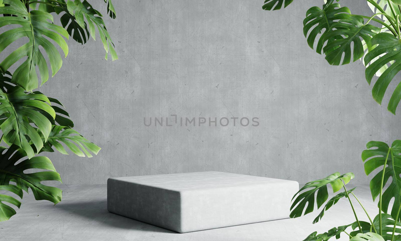 One rectangle podium in grey loft color background with Monstera plant foreground. Abstract wallpaper template element and architecture interior object concept.3D illustration rendering by MiniStocker