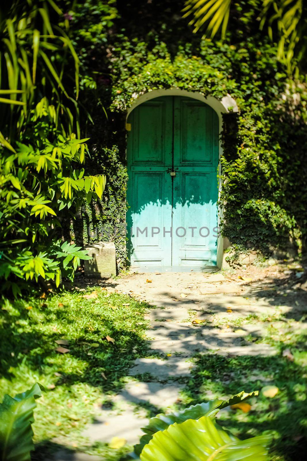 Secret Door To The Magic Garden. Old blue wooden door overgrown with ivy by Petrichor