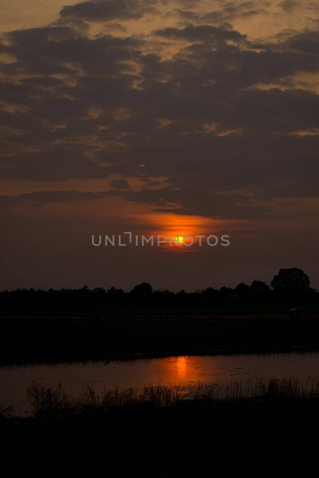Dramatic  sunset landscape with dark  sky, silhouettes of trees and lake. sky of lake landscape