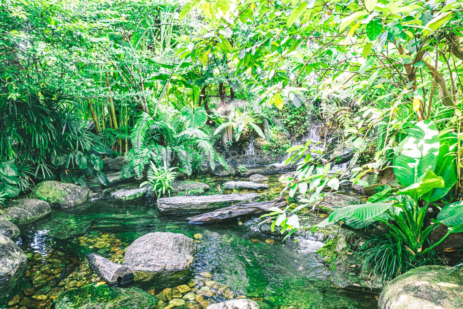 waterfall in tropical garden during spring season.  beautiful landscaping with beautiful plants